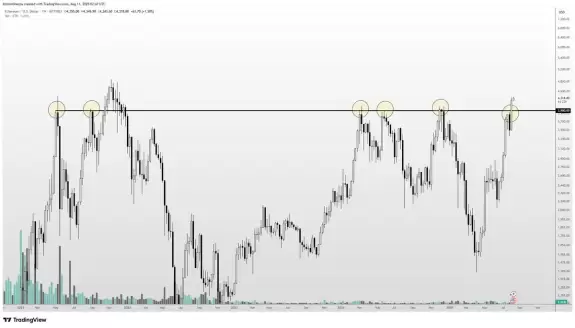 Altcoin Sherpa