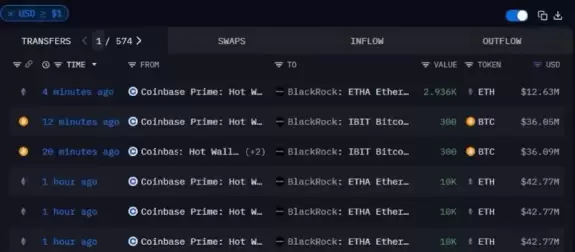 Crypto Rover