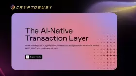 CryptoBusy