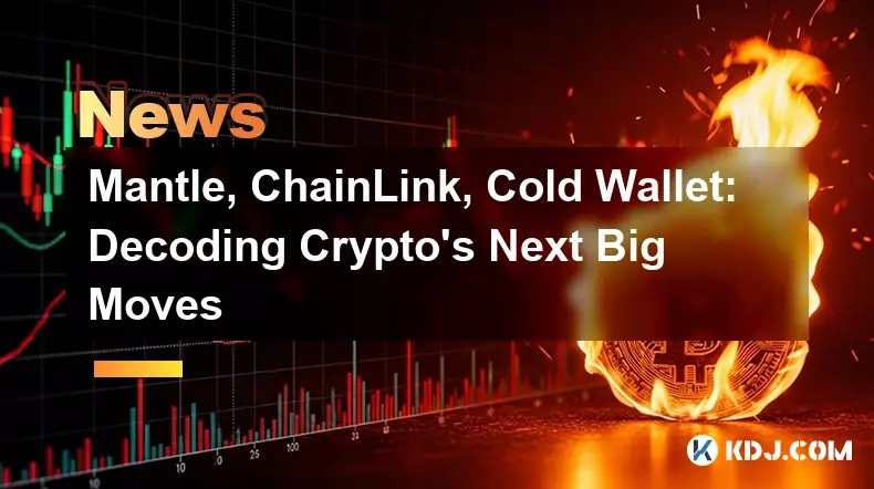 Mantle, ChainLink, Cold Wallet: Decoding Crypto's Next Big Moves