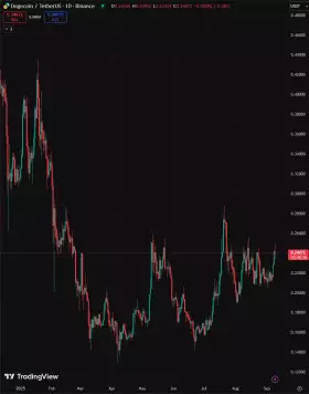 BlockNews
