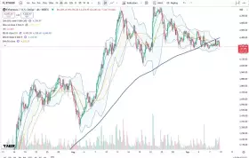 Cheds Trading