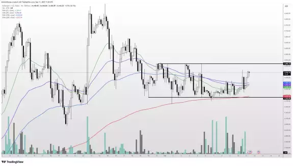 Altcoin Sherpa