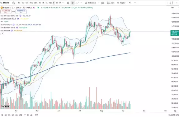 Cheds Trading