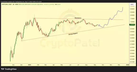 Crypto Patel