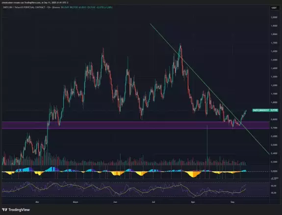 cheatcoiner.eth