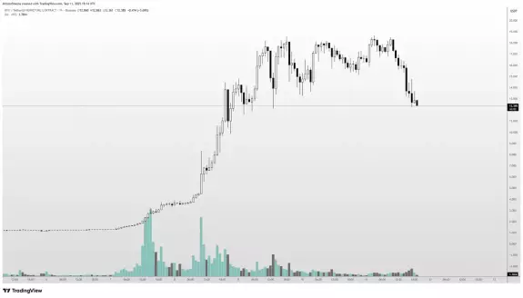 Altcoin Sherpa