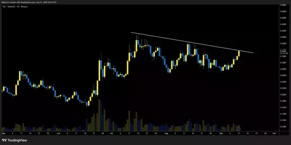 crypto bullet📈