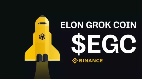 ELON GROK COIN