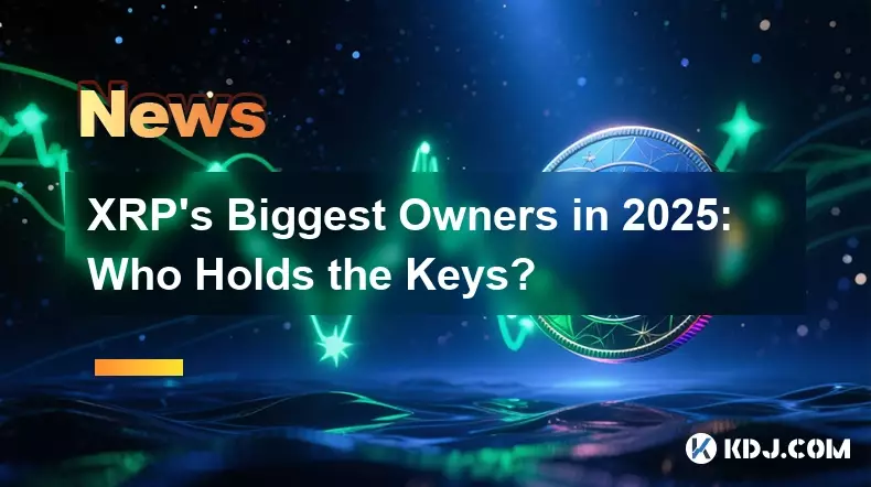 XRP's Biggest Owners in 2025: Who Holds the Keys?