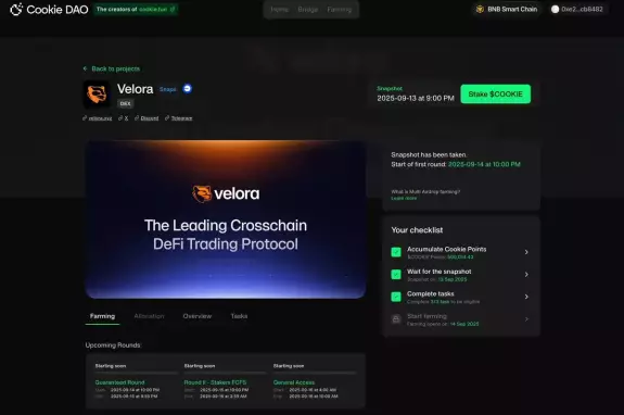 币圈小王也 $M |🐜