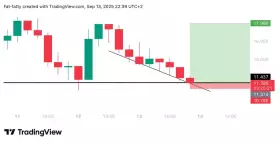 Unknown Trader