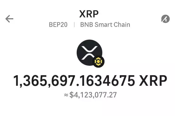 Crypto Vibes X