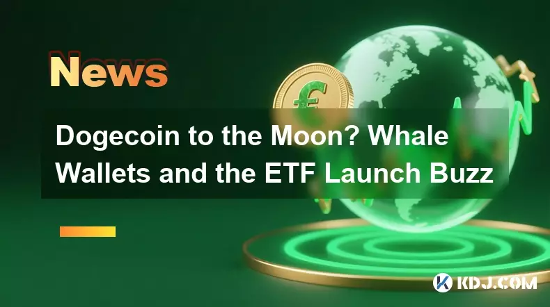 月へのdogecoin?クジラの財布とETFが発射する話題 月へのdogecoin?クジラの財布とETFが発射する話題
