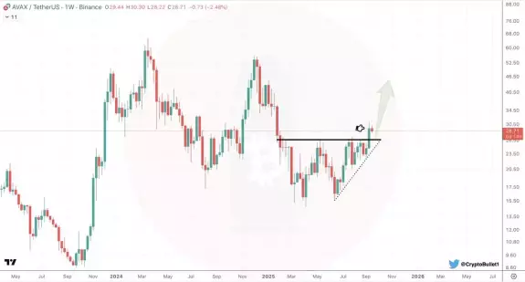 CryptoBullet