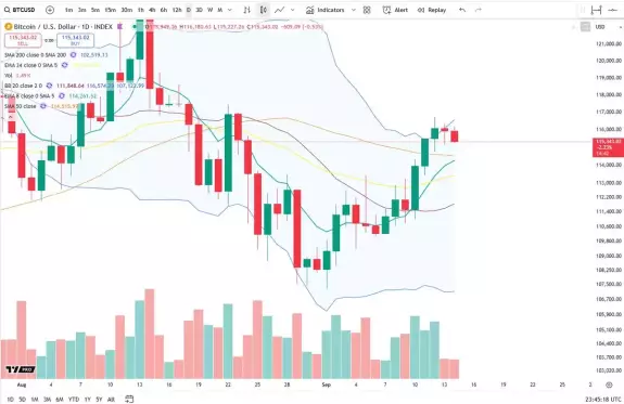 Cheds Trading