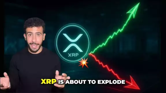 Crypto X AiMan