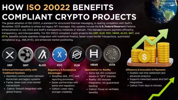 X Finance Bull