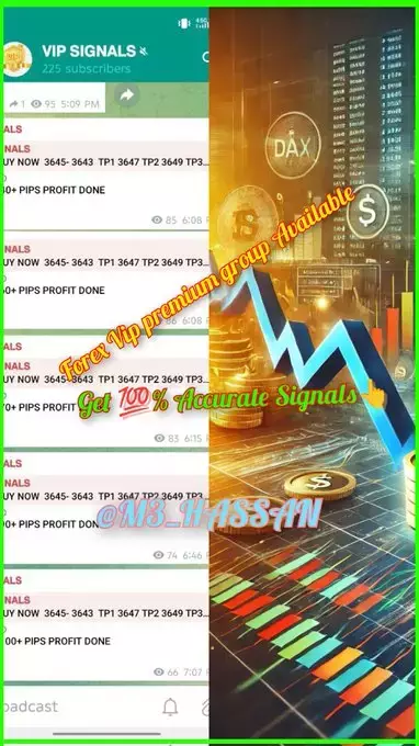 Forex Master Mind