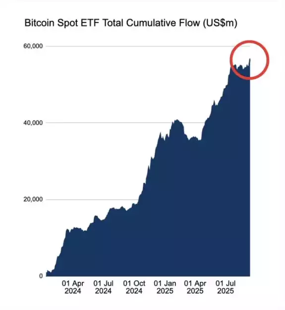 Mister Crypto