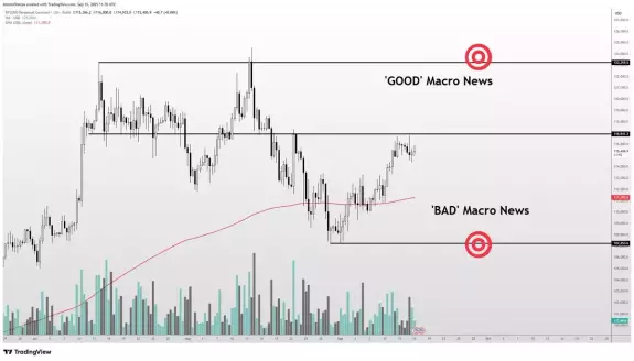 Altcoin Sherpa