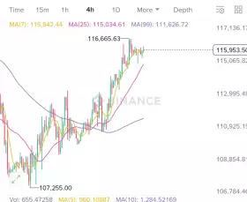 Crypto King👑💎.eth.sol