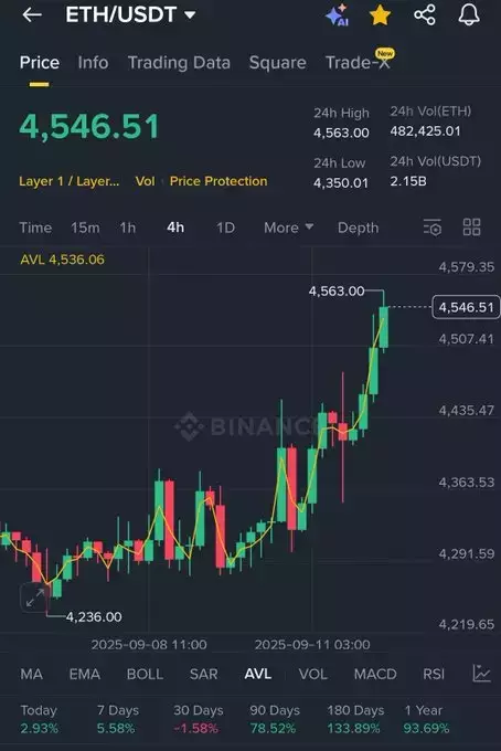 Bitcoin professor