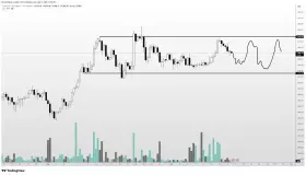 Altcoin Sherpa