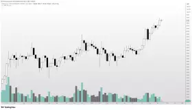 Altcoin Sherpa