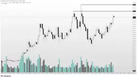 Altcoin Sherpa