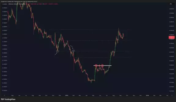 Crypto Rover
