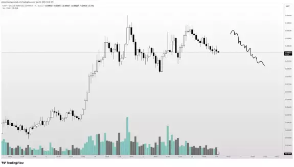 Altcoin Sherpa