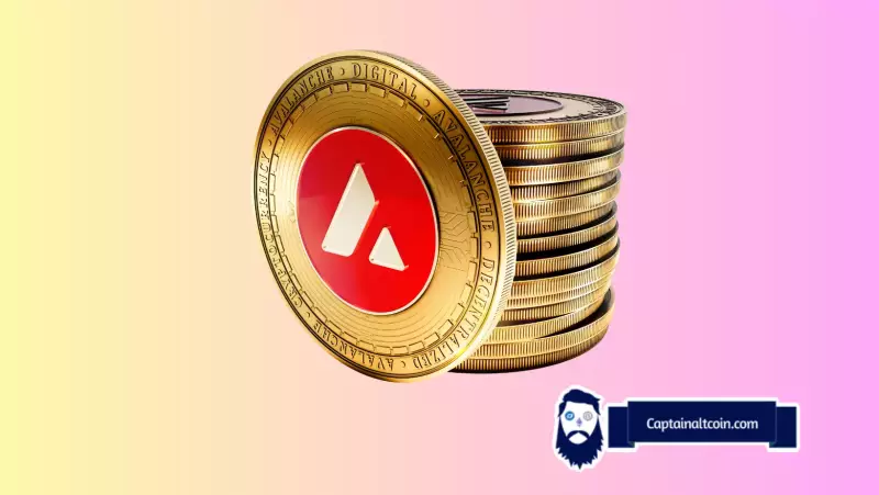 Alerte d'avalanche: Avax ETF Buzz et graphiques haussiers - sur la lune?