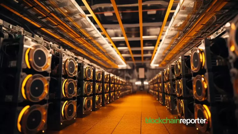 Decoding Crypto Income: Cloud Mining, AI Blockchains, and the Future
