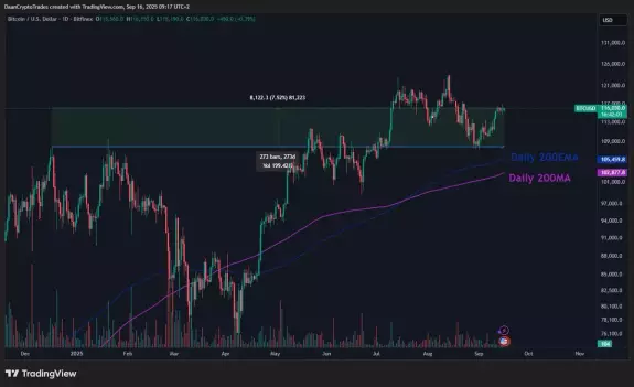 Daan Crypto Trades