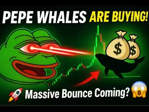 ペペ・コインはちょうどこれをしました...クジラの買いの騒ぎとサポート・ホールディング・ストロング！ 🚀|次は何ですか？