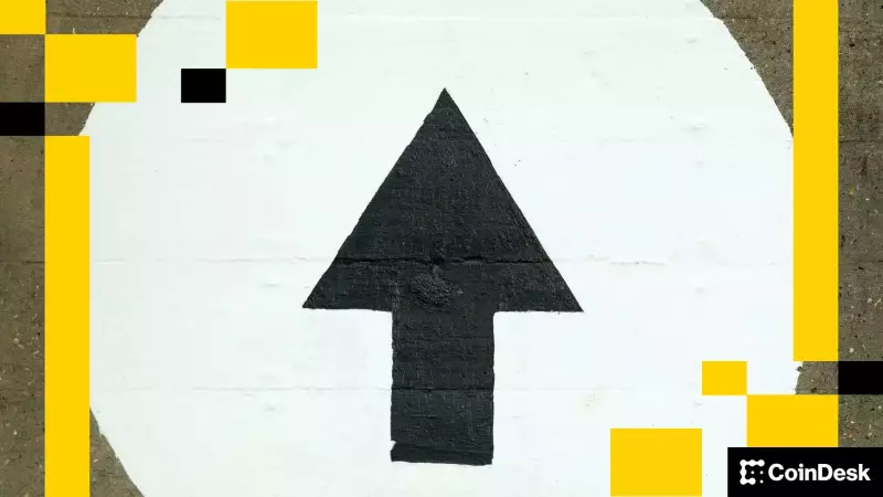 BNB, AVAX, and DOT: What's Hot and What's Not in the Crypto World