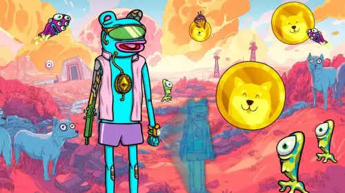 Dogecoin, Elon Musk, and the Crypto Hobby: What's the Latest?