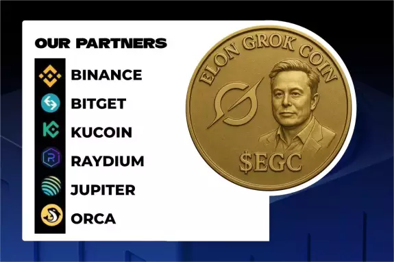 ELON GROK COIN