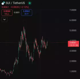 Crypto King👑💎.eth.sol