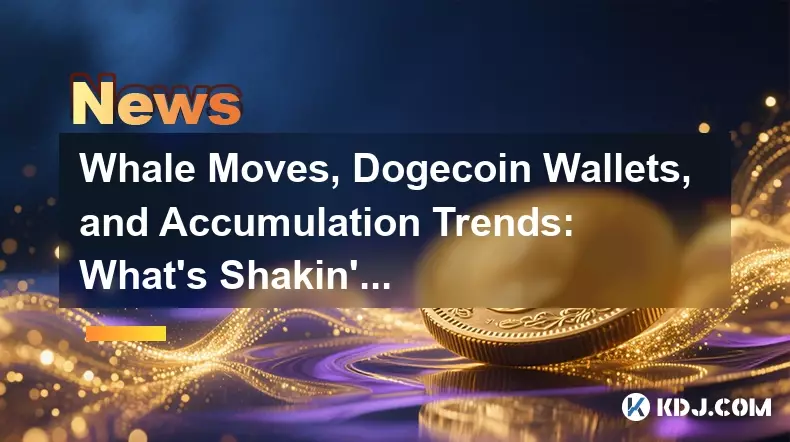 Walbewegungen, Dogecoin -Brieftaschen und Akkumulationstrends: Was ist in Krypto geschüttelt? Walbewegungen, Dogecoin -Brieftaschen und Akkumulationstrends: Was ist in Krypto geschüttelt?
