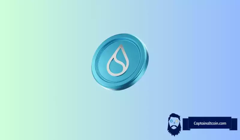 2026 년 Sui 토큰 : Mai Tais를 마시겠습니까? 2026 년 Sui 토큰 : Mai Tais를 마시겠습니까?