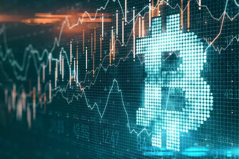 Bitcoin Network Buzz: Decoding Price Peaks and Network Activity