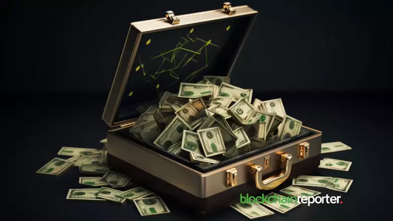 Stargate, Cross-Chain, and Inflows: Decoding the DeFi Dynamics