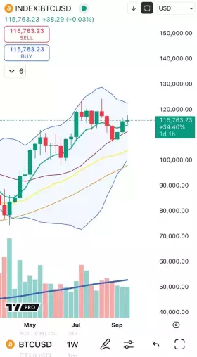Cheds Trading