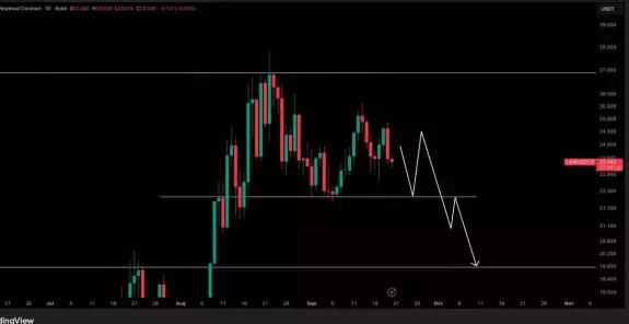 Crypto Tony