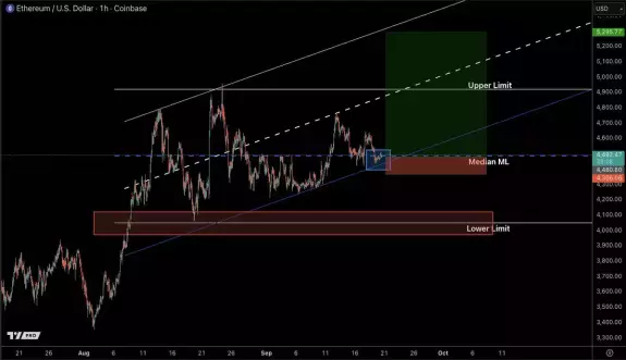 Castillo Trading