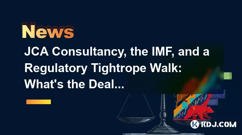 JCA Consultancy, the IMF, and a Regulatory Tightrope Walk: What's the Deal?