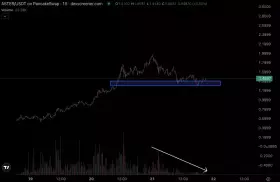 Castillo Trading