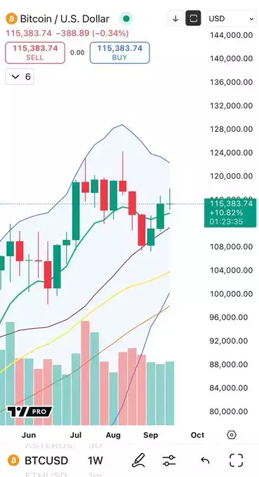 Cheds Trading